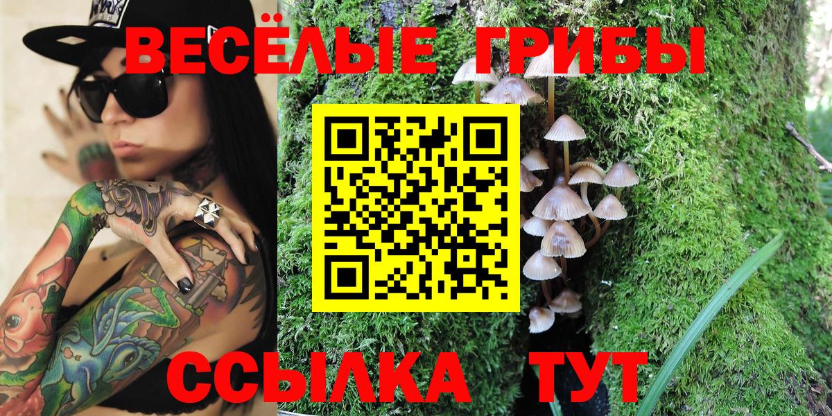 Галлюциногенные грибы ЛСД Среднеуральск