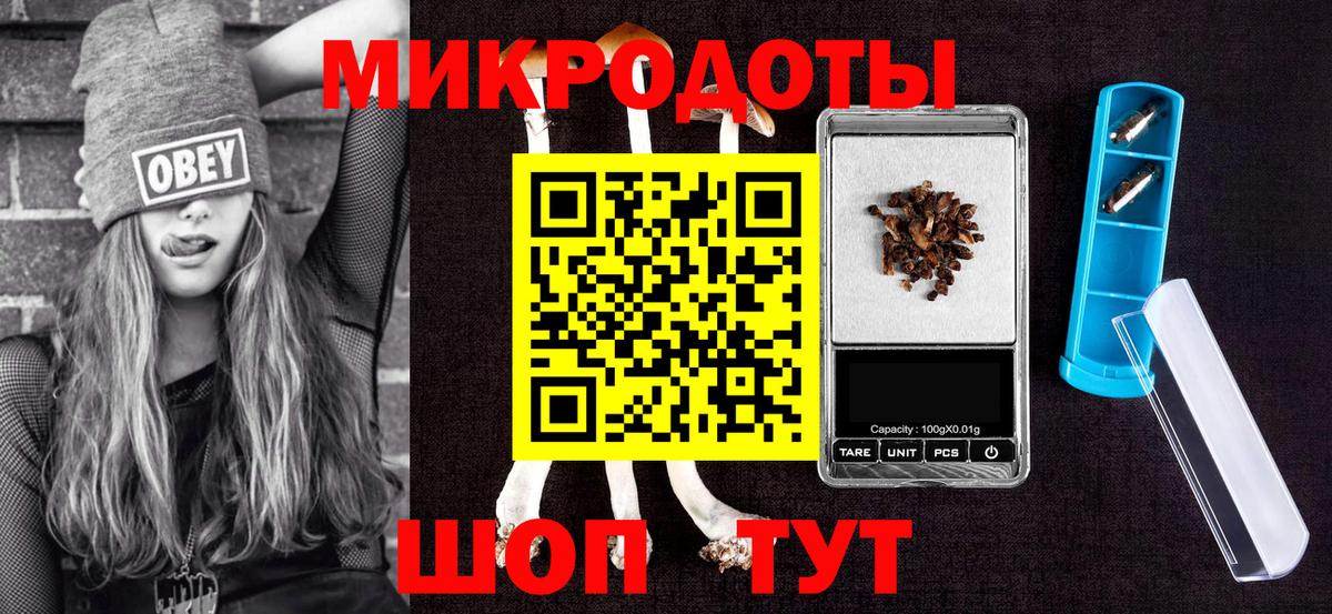 Галлюциногенные грибы Psilocybine cubensis  Вход с VPN  Псилоцибиновые грибы мухоморы  Среднеуральск 